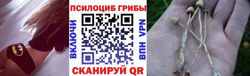 Псилоцибиновые грибы MAGIC MUSHROOMS  дарнет шоп  Ржев 