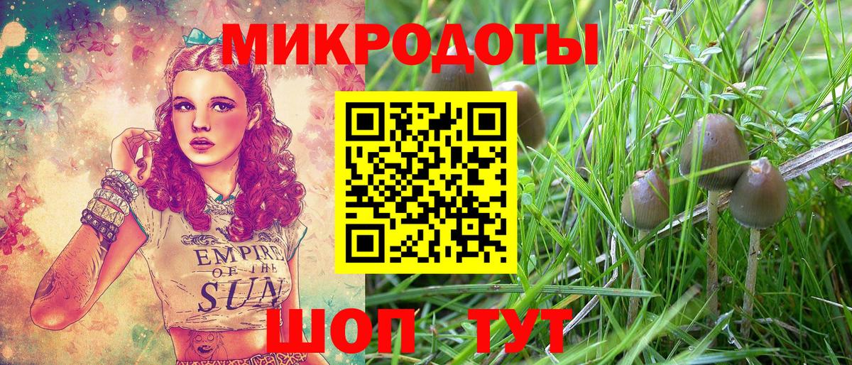 Псилоцибиновые грибы мухоморы Ржев